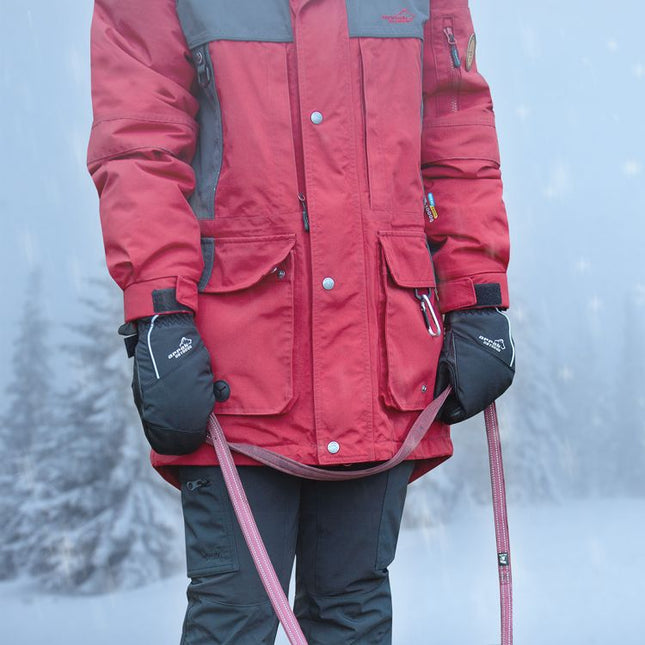 Artic Vott