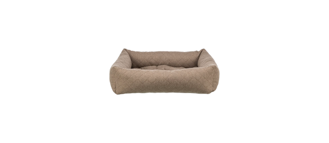 Caliente Hundeseng