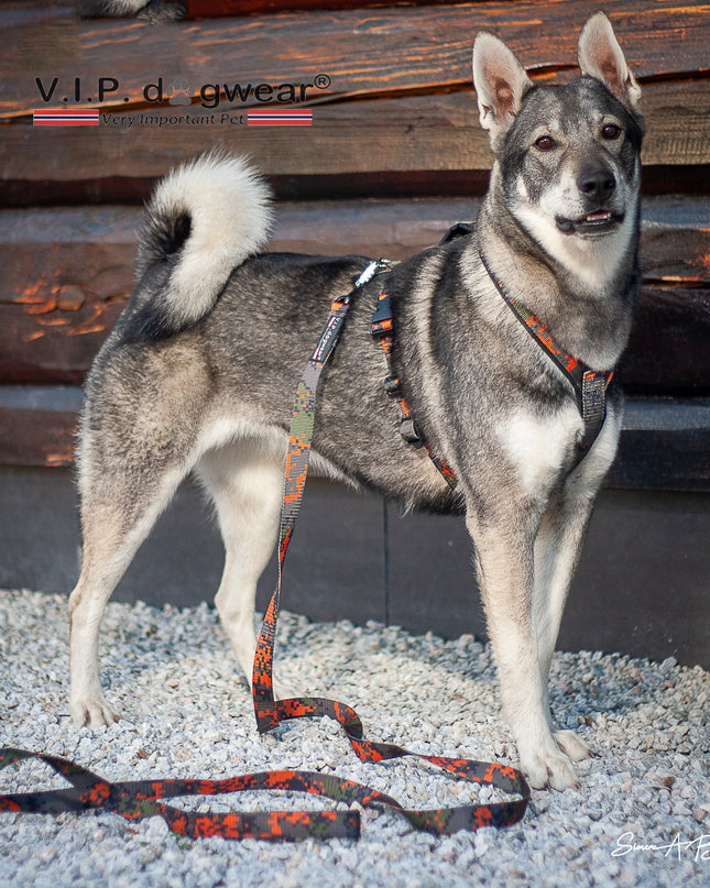 V.I.P Leiebånd
