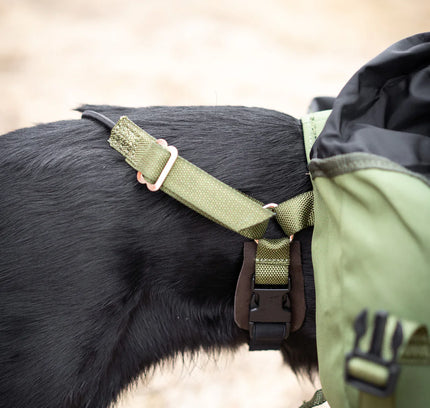 Togo Dog Backpack