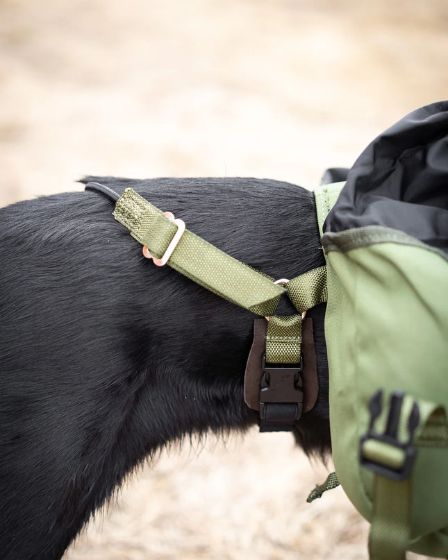 Togo Dog Backpack