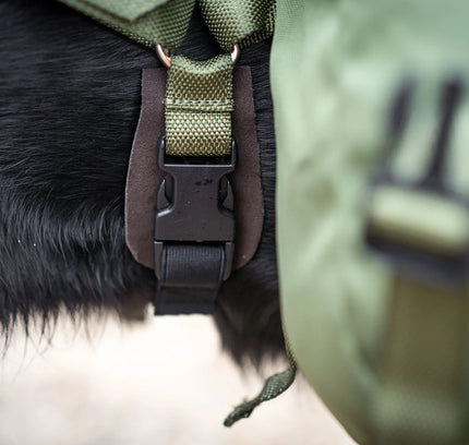 Togo Dog Backpack