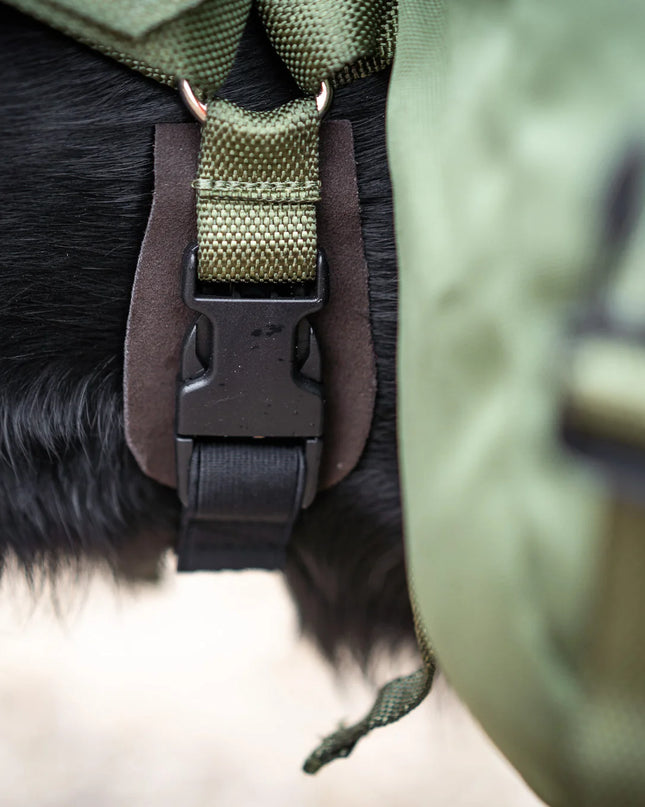 Togo Dog Backpack