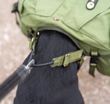 Togo Dog Backpack