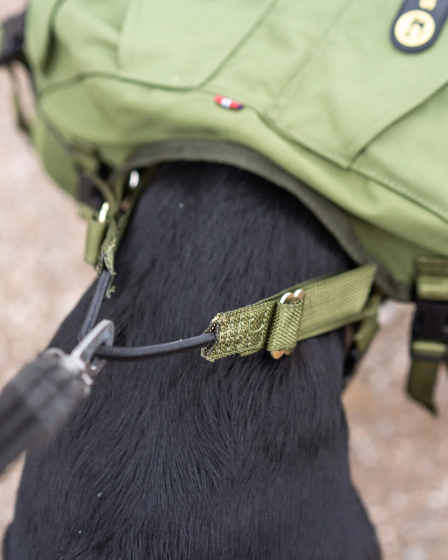 Togo Dog Backpack