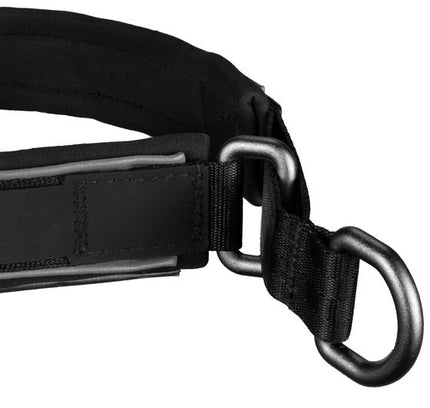 Cruise Collar