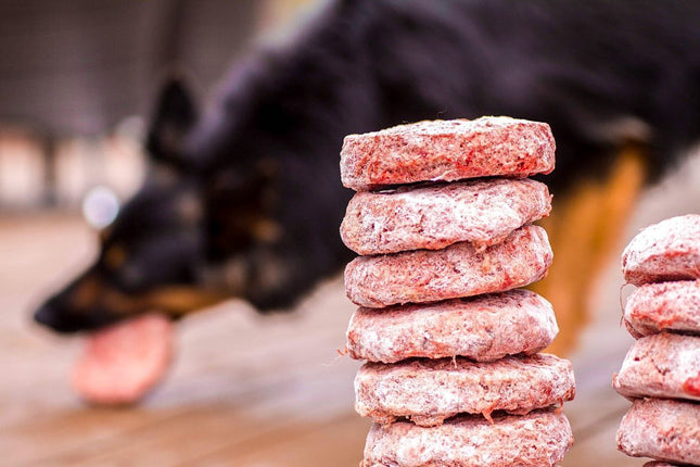 Kylling og storfe BURGER