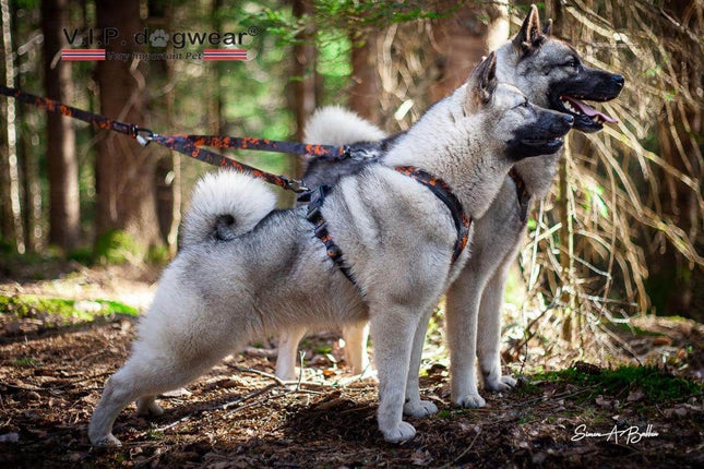 Tracker