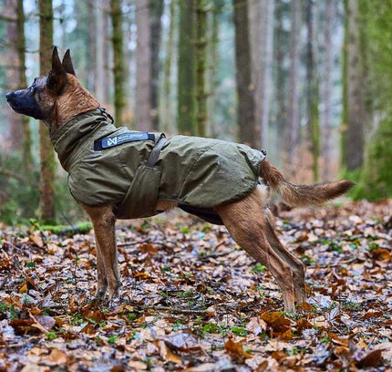 Glacier dog jacket WD