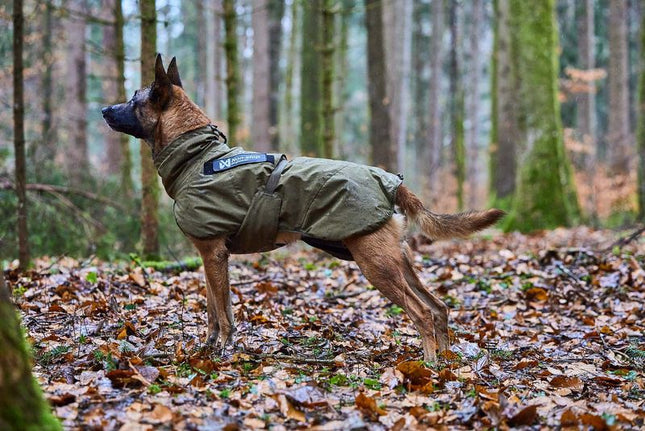 Glacier dog jacket WD