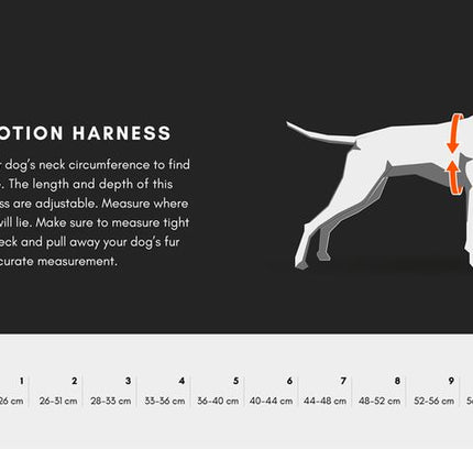 Freemotion Harness