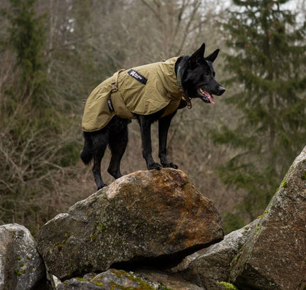 Fjord raincoat WD