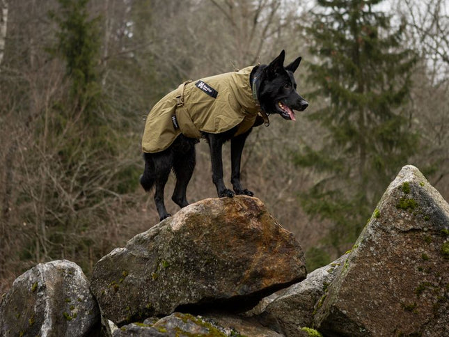 Fjord raincoat WD
