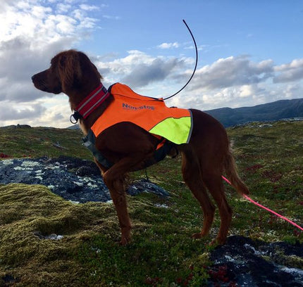 Protector vest GPS