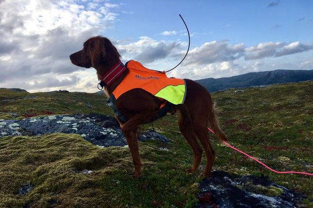 Protector vest GPS