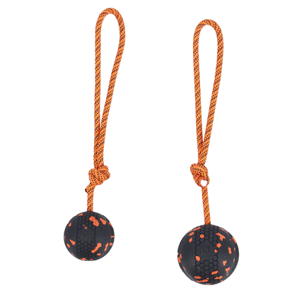 Dog ball on rope