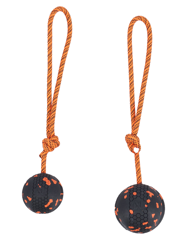 Dog ball on rope