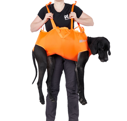 Dog rescue sling