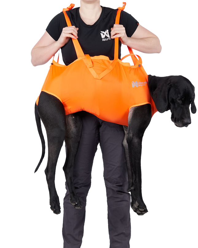Dog rescue sling