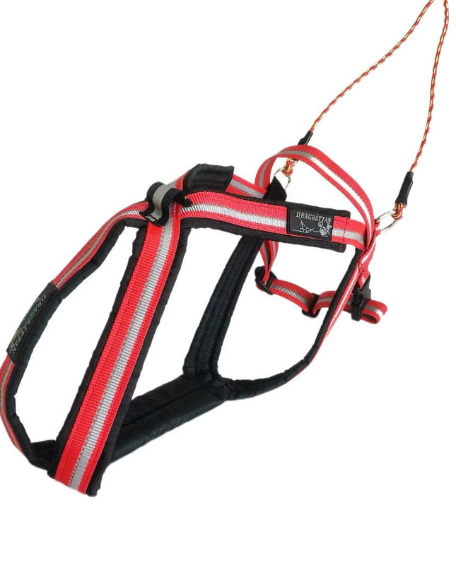 Dragråttan multisport sele