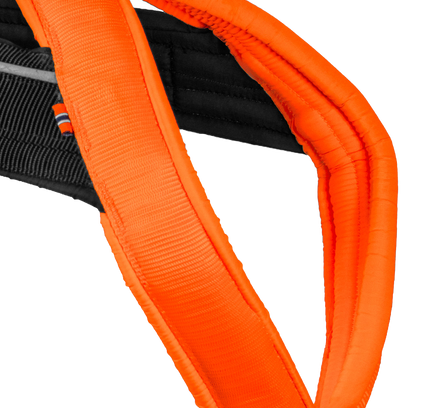 Freemotion harness 5.0