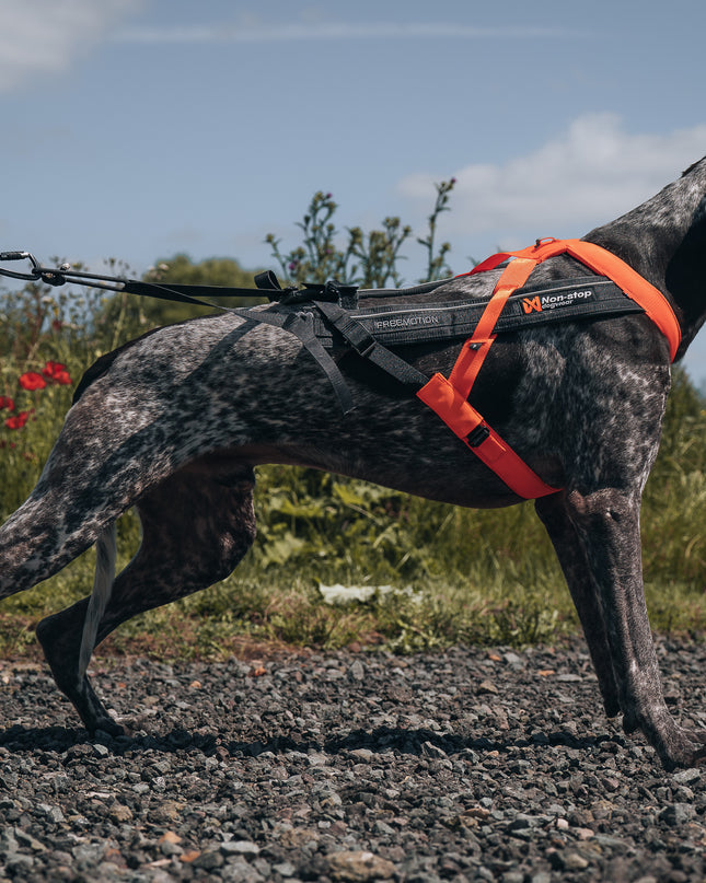 Freemotion harness 5.0