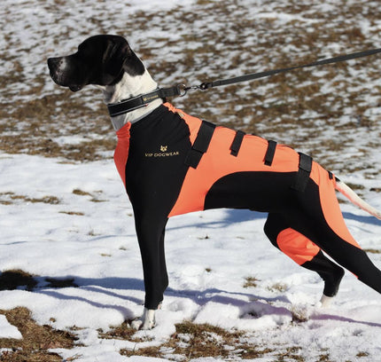 VIP SNOW Protector