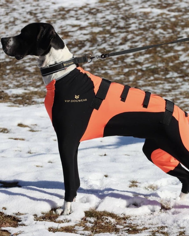 VIP SNOW Protector