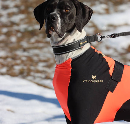 VIP SNOW Protector