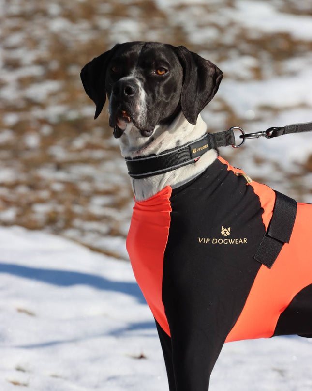 VIP SNOW Protector