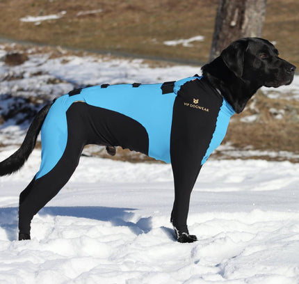 VIP SNOW Protector