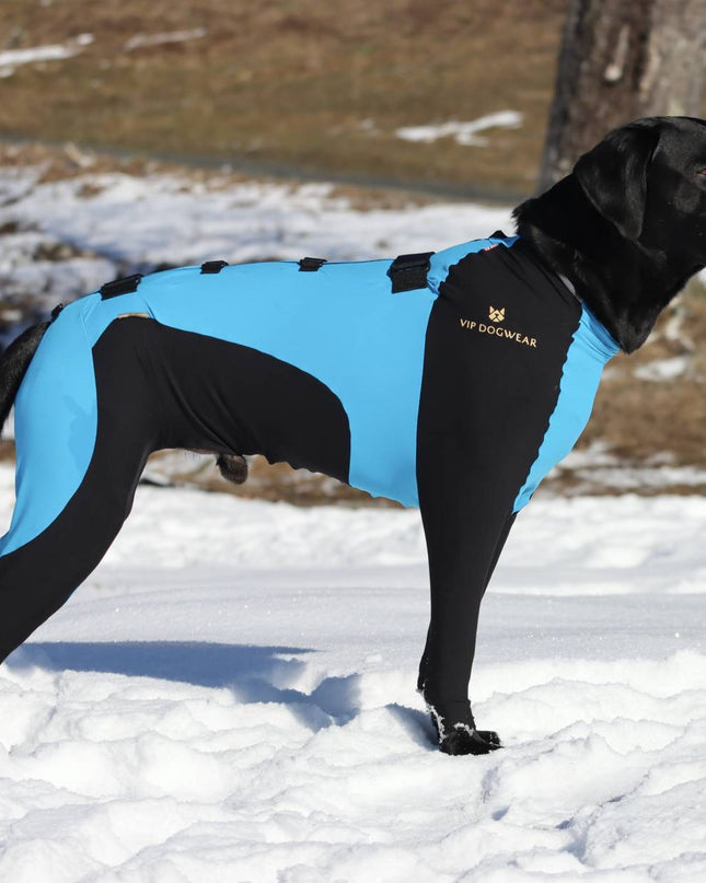 VIP SNOW Protector