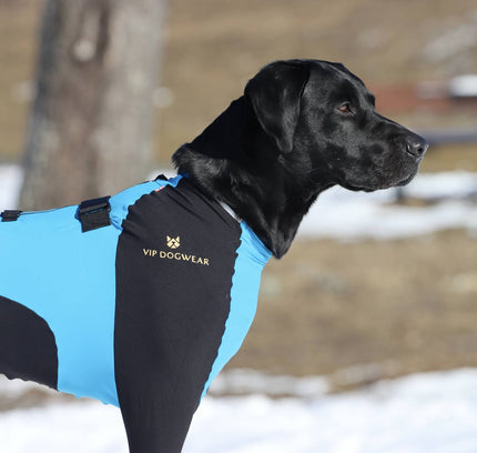 VIP SNOW Protector