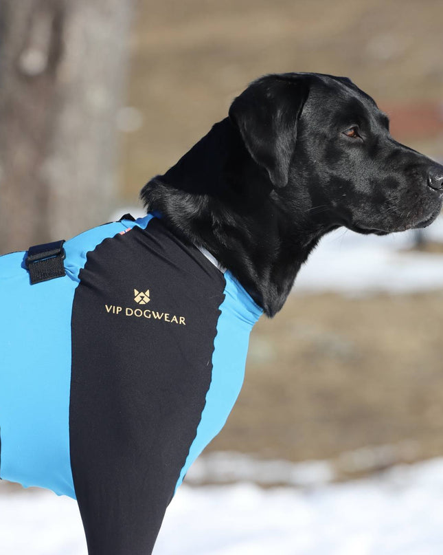 VIP SNOW Protector