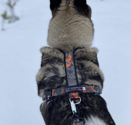 Tracker