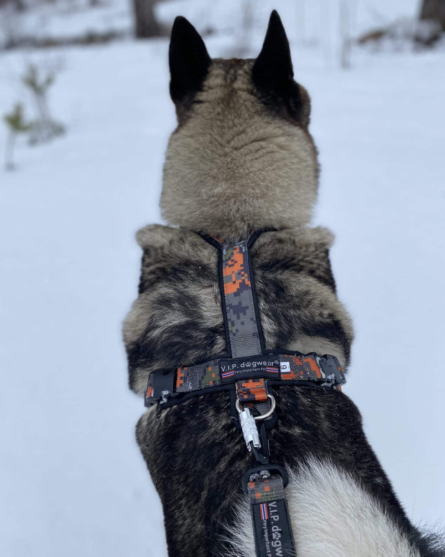 Tracker