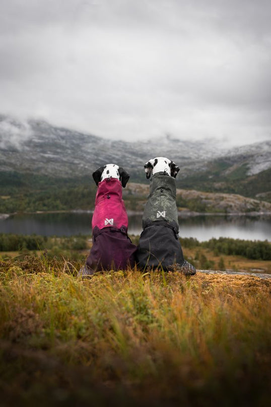 Fjord raincoat