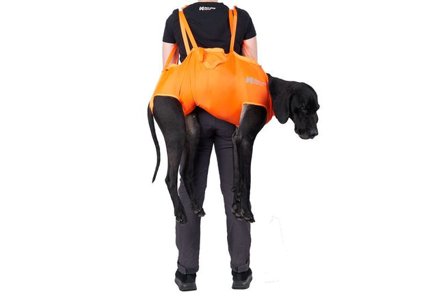 Dog rescue sling