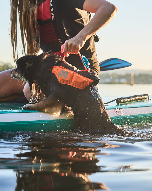 Protector life jacket