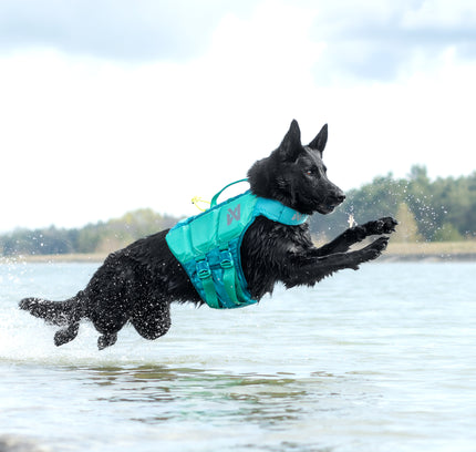 Protector life jacket