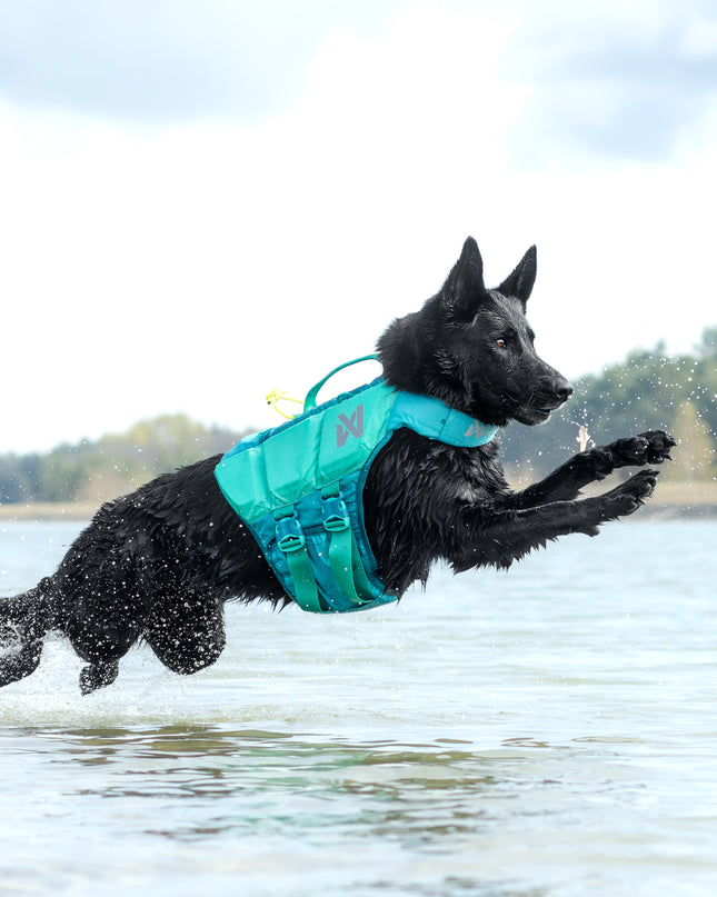 Protector life jacket