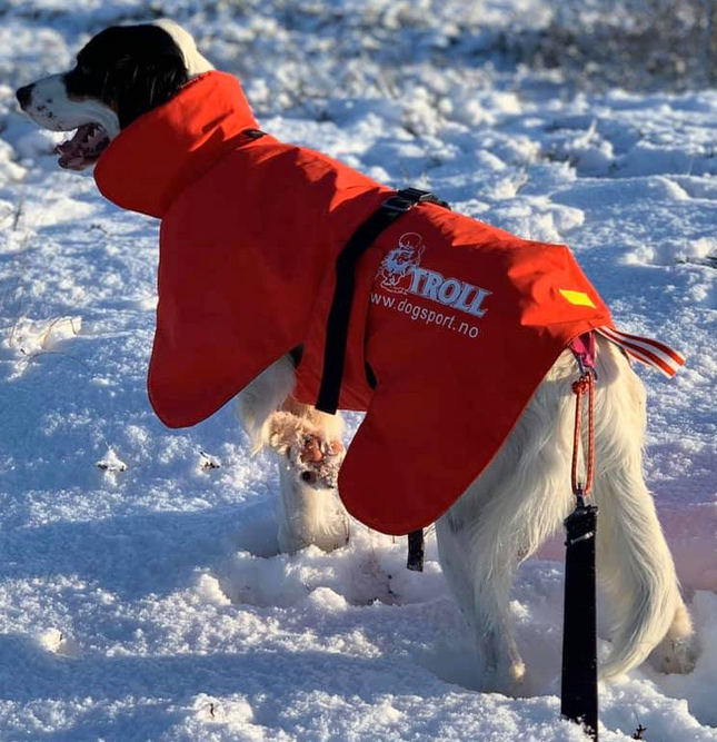 TROLL DogSport Varmedekken Hvile