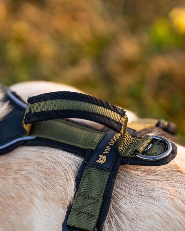 Tracker pro