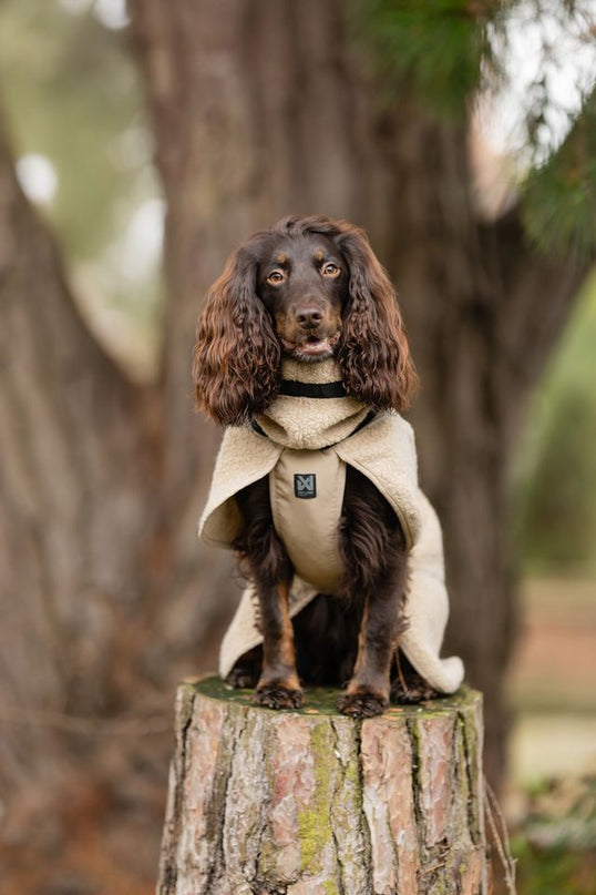 Wool dog jacket