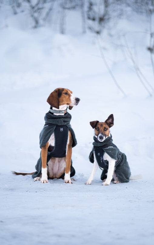 Wool dog jacket