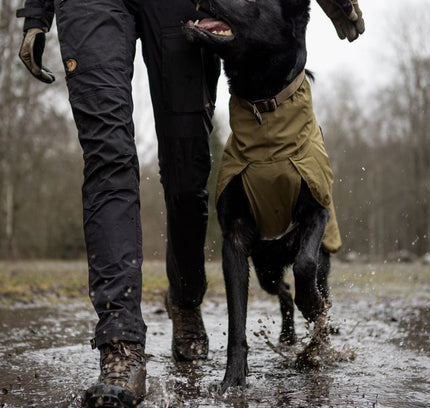 Fjord raincoat WD