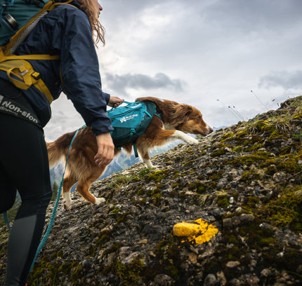 Trail Quest dog backpack