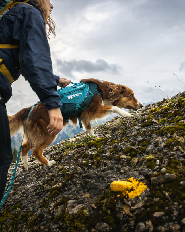 Trail Quest dog backpack