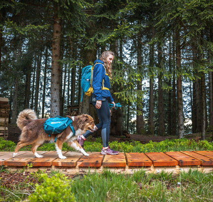 Trail Quest dog backpack