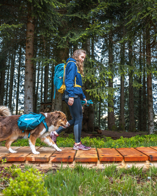 Trail Quest dog backpack